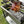 Small 3-Prong Stainless Steel Meat Fork Set (2-Pack)